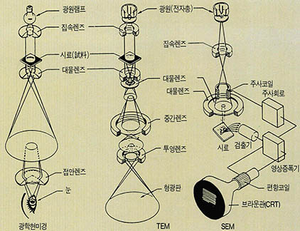 세 현미경의 비교