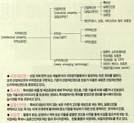 (표)지적소유권의 종류