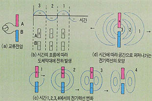 (그림 3) 교류전압에 의해 두 도체막대에 발생하는 전기력선