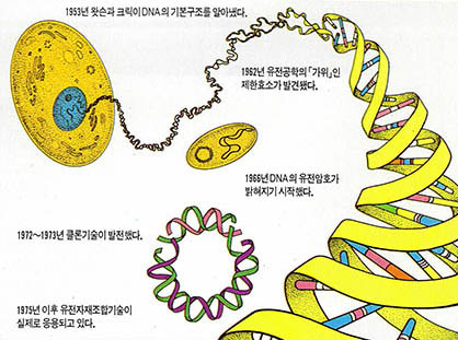 유전공학의 발달사