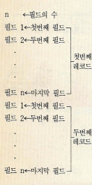 데이터 파일의 구조