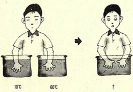 온도감각 비교실험