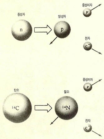 베타붕괴^베타붕괴가 일어나면 중성자가 양성자로 바뀌면서 동시에 전자의 중성미자도 생긴다.