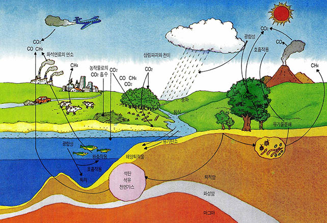 (그림 7)지구의 탄소순환계