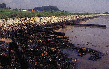 해양기름 오염현황