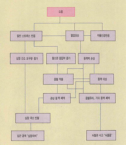 (그림)소음에 의한 심장과 혈관 장해의 가상경로