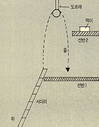 쥐의 문제 해결능력 실험