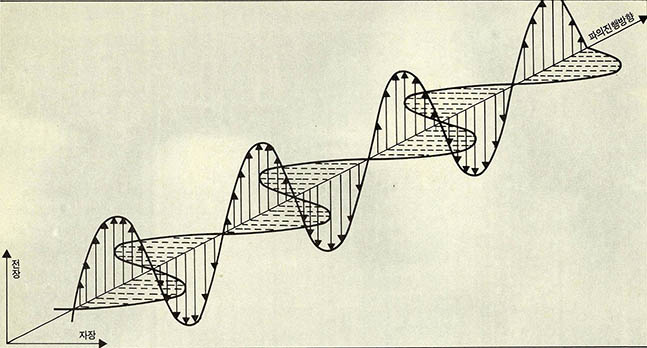 맥스웰이 발견한 전자파가 공간으로 퍼지는 모양^전자파가 진행할 때 전기장의 변화가 자장의 변화를 일으키고 자장의 변화가 다시 전기장의 변화를 일으켜 전장과 자장의 진동이 번갈아 가면서 전자에너지를 전달한다. 파의 진행방향은 전장과 자장의 진동 방향은 수직이며 횡파로서 진행한다.