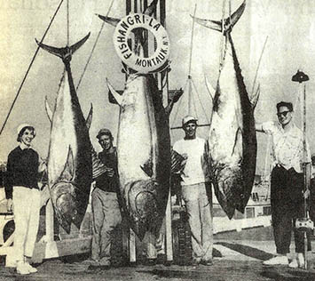 좋았던 시절의 스냅사진 한장^1960년대에만 해도 어부들은 자신이 우너하는 만큼 블루핀을 잡을 수 있었다.