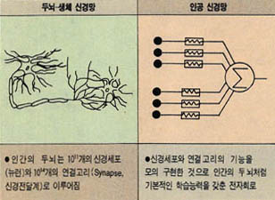 (표1) 인간의 신경망과 인공 신경망