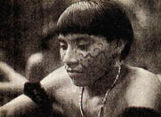 보금자리를 찾는 야노마이족