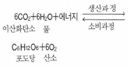 화학식