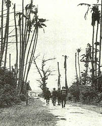 고엽제살포로 나무들이 앙상하게 말라붙은 지역을 맹호부대원들이 지나고 있다(67년 1월).