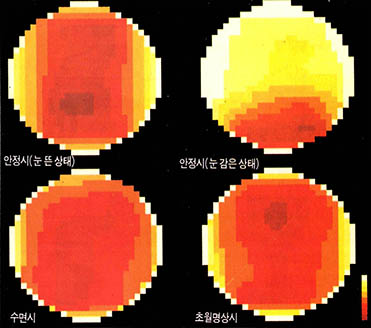 같은 알파파라 할지라도 어떤 상태에 있느냐에 따라, 주파수 영역이 달라진다. 사진에서 붉은색이 짙어질수록 주파수가 낮아진다.