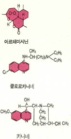 중국 동진왕조 때 말라리아 치료제인 아르테미사닌. 클로로키니네보다 훨신더  효력이 강하다.