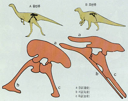 (그림2)두 종류의 공룡