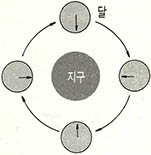 달의 공전