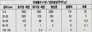 (표) 흙의 깊이에 따른 미생물의 평균 분포