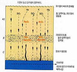 (그림2) 라테라이트화 작용