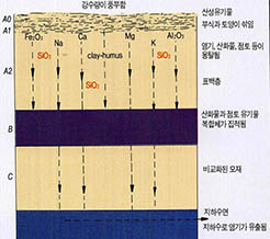 (그림4) 포드졸화 작용