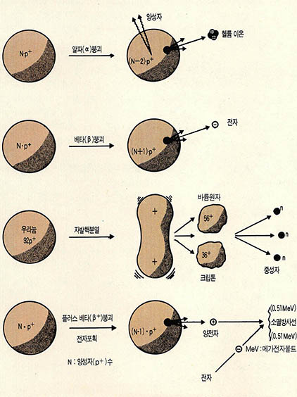 (그림1) 절대 연대 측정에 이용되는 방사성동위원소의 원자핵 붕괴모형