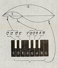 (그림5) 피아노 건반의 황금 비례. 2:3=0.666…, 3:5=0.65, 5:8=0.625, 8:13=0.615의 관계를 보여준다.