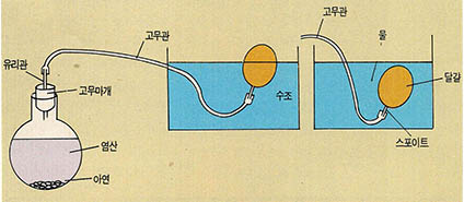 (그림1)