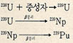 플루토늄의 모체