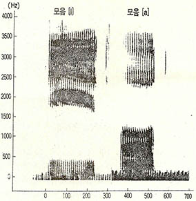 (사진1) 모음의 음향분석 사진