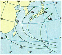 (그림3) 태풍의 경로