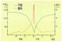 (그림6) 1959년 9월 태풍 사라 통과때의 기압과 풍속분포