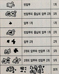 (표) 흑점수 세는 법