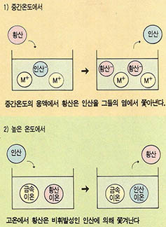 (그림2) 용액에서의 친화력