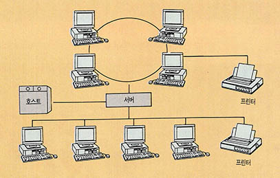 일반적인 네트워크의 구성도^각각의 PC는 서로 유기적으로 연결돼 효율성을 높이도록 했다.
