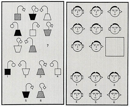 (그림2) 집단검사용 지능테스트에 출제된 문제^빠르고 편하게 많은 사람의 지능을 측정하기 위해 개발된 IQ테스트는 필기시험형식을 취할 수밖에 없다. 위 문제들의 경우, 시험대상자는 위의 그림의 빈 자리에 들어갈 도형을 아래 번호중에서 골라내야 한다. 왼쪽 문제의 답은 1번이고 오른쪽 답은 4번이다.