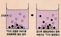 (그림3) Nacl 포화용액의 동적평형