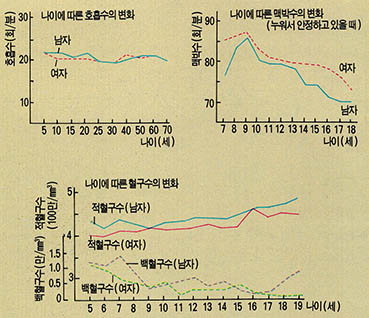 (표1) 나이에 따른 호흡·맥박·혈구수의 변화