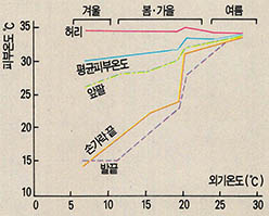 (표5) 여름·겨울의 피부온도