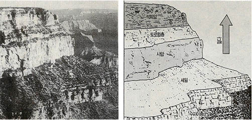 (그림2) 그랜드캐년의 실제 모습과 지층 단면도