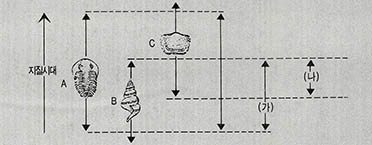 (그림7) 화석에 의해 지층퇴적시기를 아는 방법