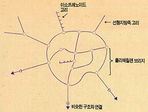 (그림3) 케로젠의 구조 모형