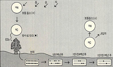 (그림5) 암석 절대연령 측정의 방사성 탄소법