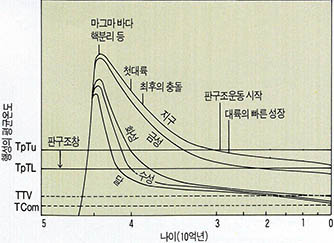 (표1)행성의 진화와 온도의 관계(판구조창)