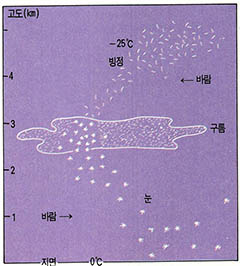 (그림5)눈의 발생 모형도