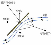 (그림1) 연이 바람에 뜨는 원리