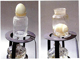 병 입구보다 큰 삶은 달걀도 병안의 압력을 작게 해주면 달걀을 깨뜨리지 않고 병 안에 넣을 수 있다.
