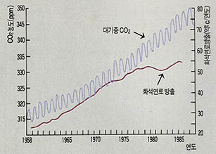 대기중 ${CO}_{2}$와 화석연료에 의한 방출량^그림은 화와이에 있는 마우나 로아 관측소가 관측한 대기중 ${CO}_{2}$와 화석연료에 의한 방출현황을 보여준다.