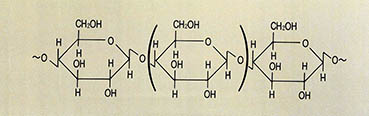 셀룰로오스의 분자식