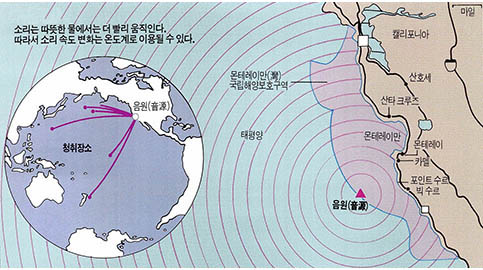 음파를 이용, 세계 대양의 수온을 재는 프로젝트가 환경단체의 항의로 일단 중단됐다.