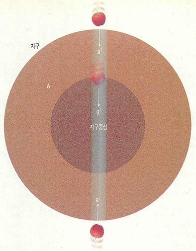 (그림4) 사과에 미치는 중력의 크기^사과가 지표에 있을 때는 지구의 전 질량이 지구 중심에 있다고 가정해도 되지만, 지구내부에 있을 경우엔 사과의 깊이에 해당하는 지구 물질의 중력은 미치지 않는 것으로 생각해야 한다.